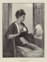 Na rynku czapek w Boulogne